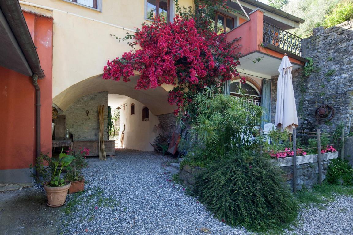 Il Borgo Della Colomba Vila Fosdinovo Exterior foto