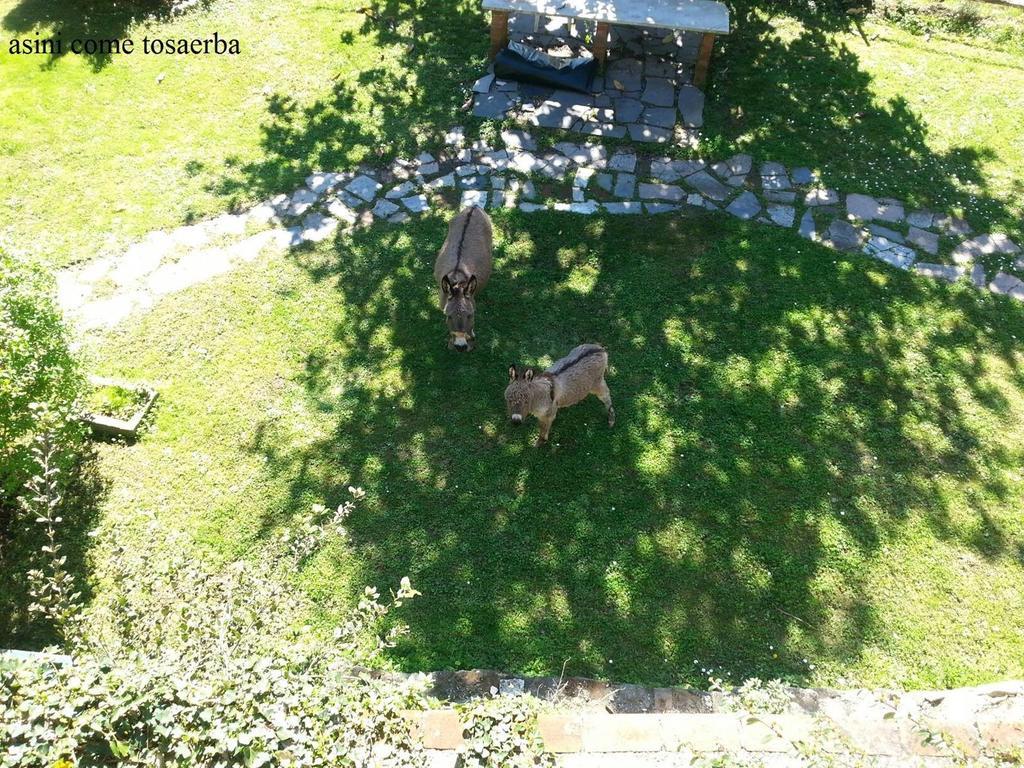 Il Borgo Della Colomba Vila Fosdinovo Exterior foto